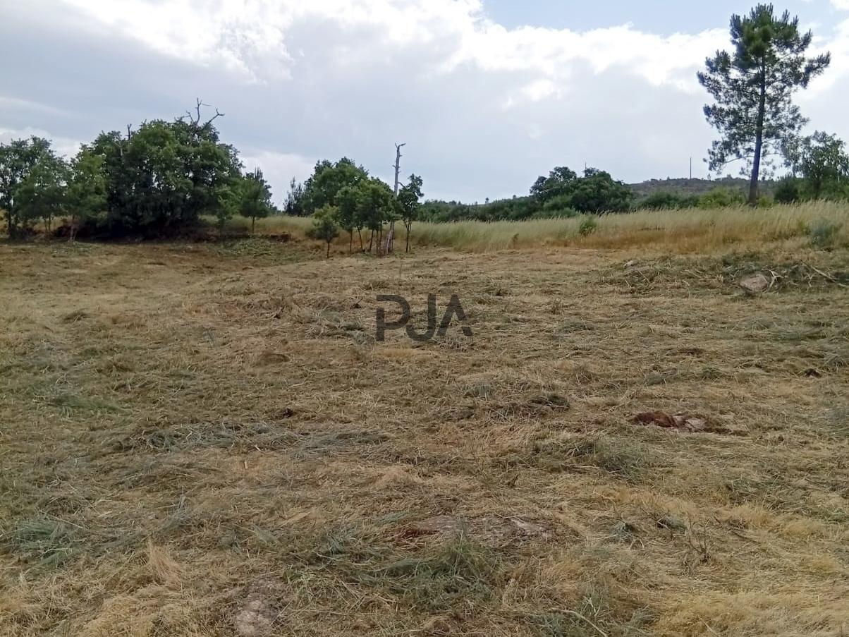 Terreno agrícola em Matança, Fornos de Algodres