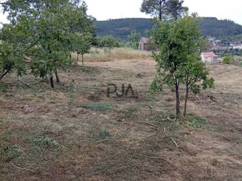 Terreno agrícola em Matança, Fornos de Algodres