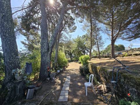 Quinta com cerca de 6.500 m² em Póvoa de Cervães, Mangualde