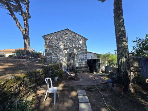 Quinta com cerca de 6.500 m² em Póvoa de Cervães, Mangualde