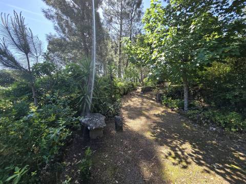 Quinta com cerca de 6.500 m² em Póvoa de Cervães, Mangualde