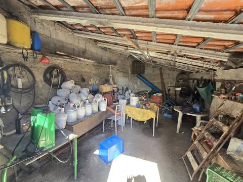 Quinta com cerca de 6.500 m² em Póvoa de Cervães, Mangualde