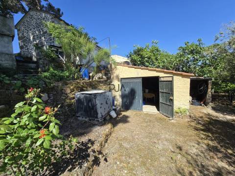 Quinta com cerca de 6.500 m² em Póvoa de Cervães, Mangualde