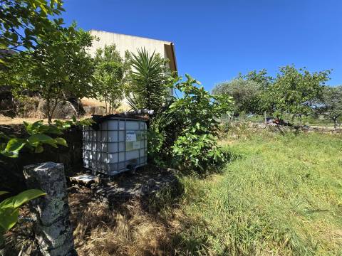 Quinta com cerca de 6.500 m² em Póvoa de Cervães, Mangualde