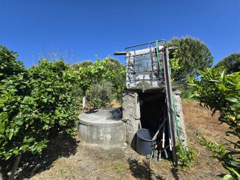 Quinta com cerca de 6.500 m² em Póvoa de Cervães, Mangualde