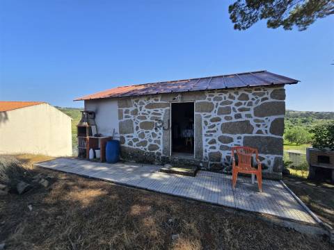 Quinta com cerca de 6.500 m² em Póvoa de Cervães, Mangualde
