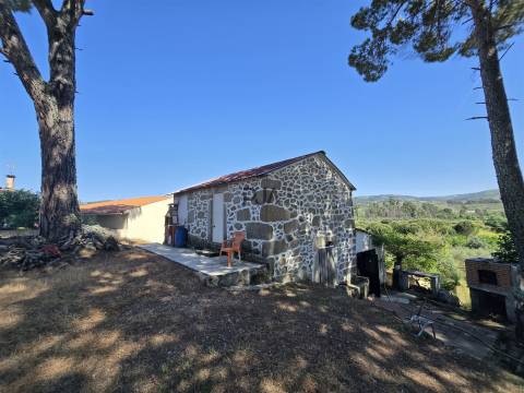 Quinta com cerca de 6.500 m² em Póvoa de Cervães, Mangualde