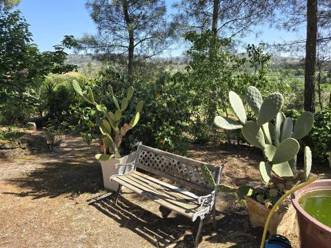 Quinta com cerca de 6.500 m² em Póvoa de Cervães, Mangualde