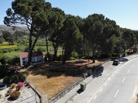 Quinta com cerca de 6.500 m² em Póvoa de Cervães, Mangualde