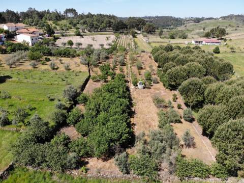 Quinta com cerca de 6.500 m² em Póvoa de Cervães, Mangualde