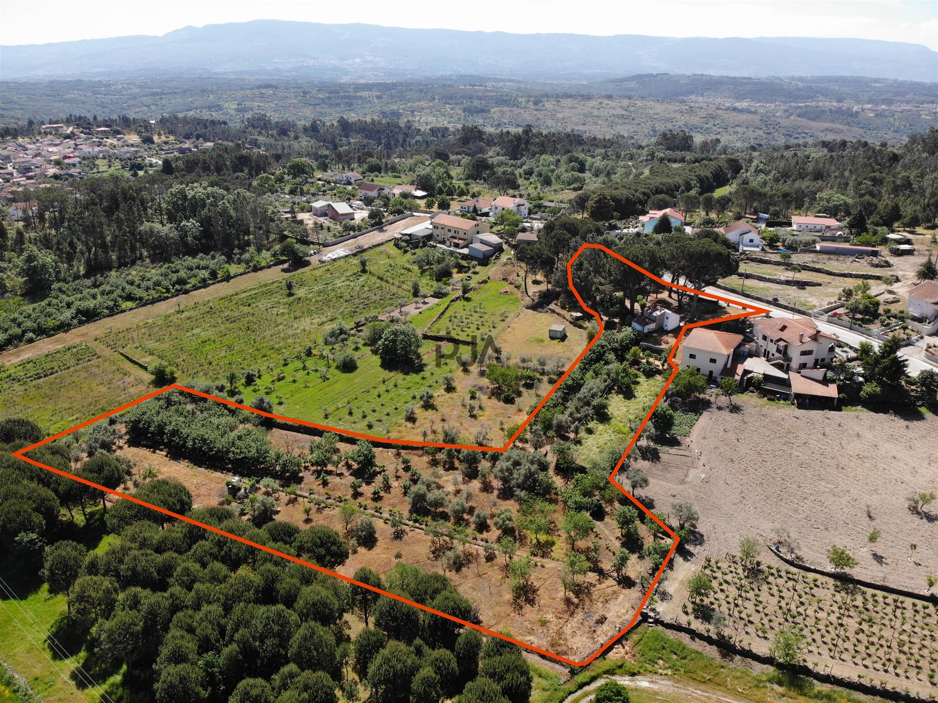 Quinta com cerca de 6.500 m² em Póvoa de Cervães, Mangualde