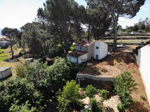 Quinta com cerca de 6.500 m² em Póvoa de Cervães, Mangualde