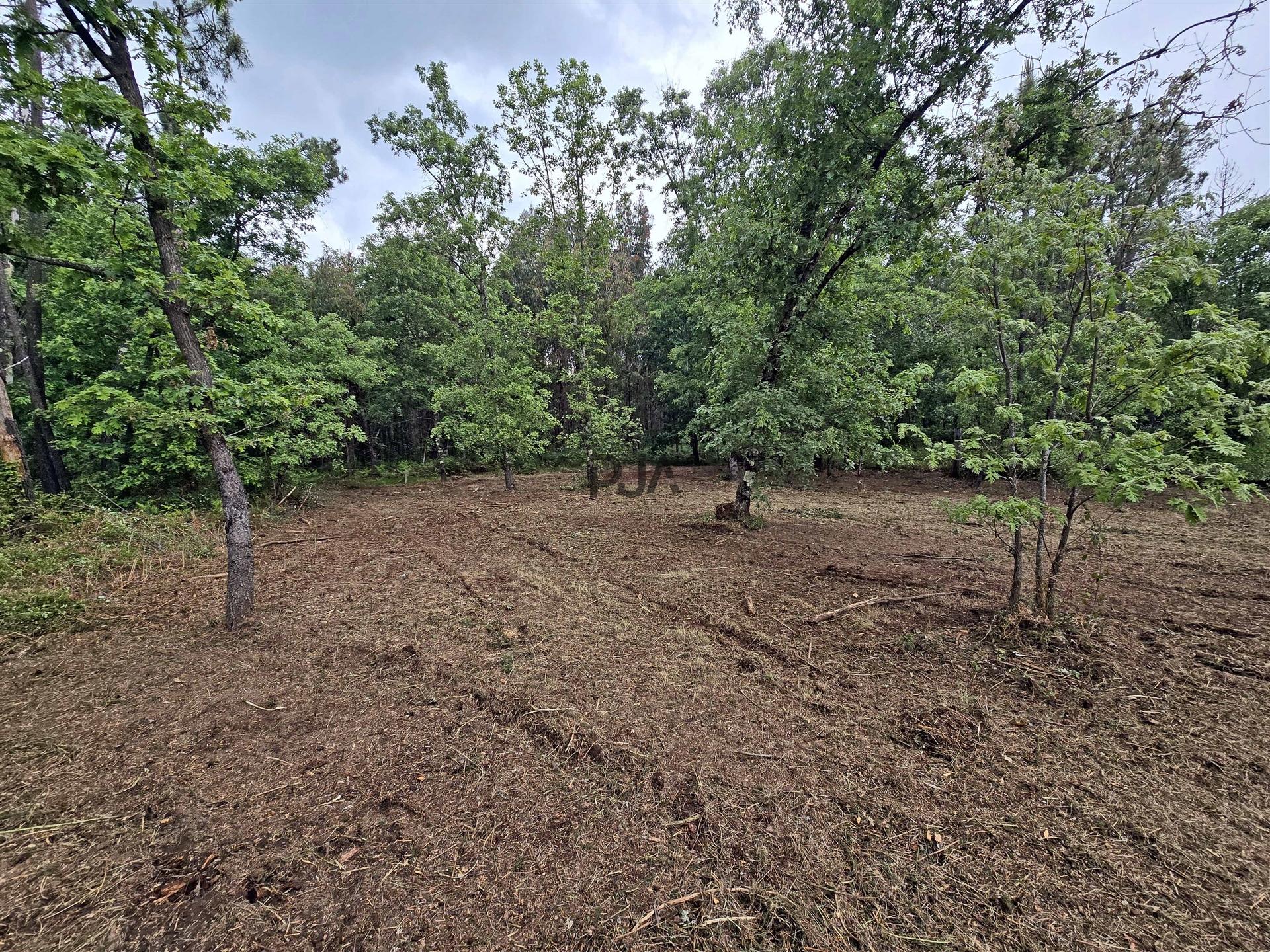 Lote de Terreno Industrial em Quintela de Azurara, Mangualde