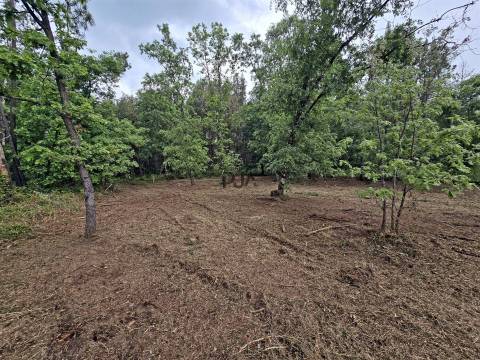 Lote de Terreno Industrial em Quintela de Azurara, Mangualde