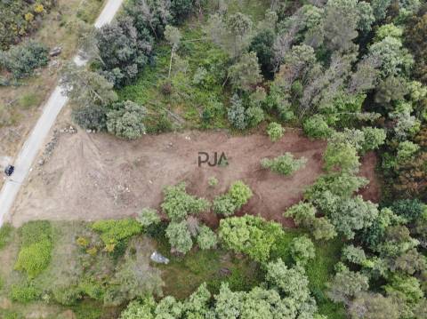 Lote de Terreno Industrial em Quintela de Azurara, Mangualde