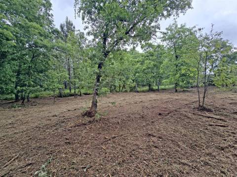 Lote de Terreno Industrial em Quintela de Azurara, Mangualde