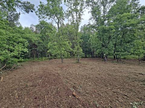 Lote de Terreno Industrial em Quintela de Azurara, Mangualde