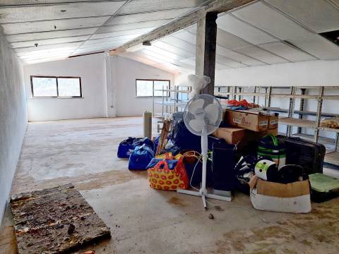 Andar moradia T4 em Mangualde