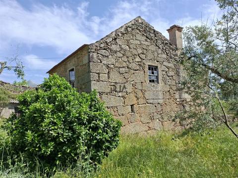 Casa tradicional em pedra para recuperar em Matança, Fornos de Algodres