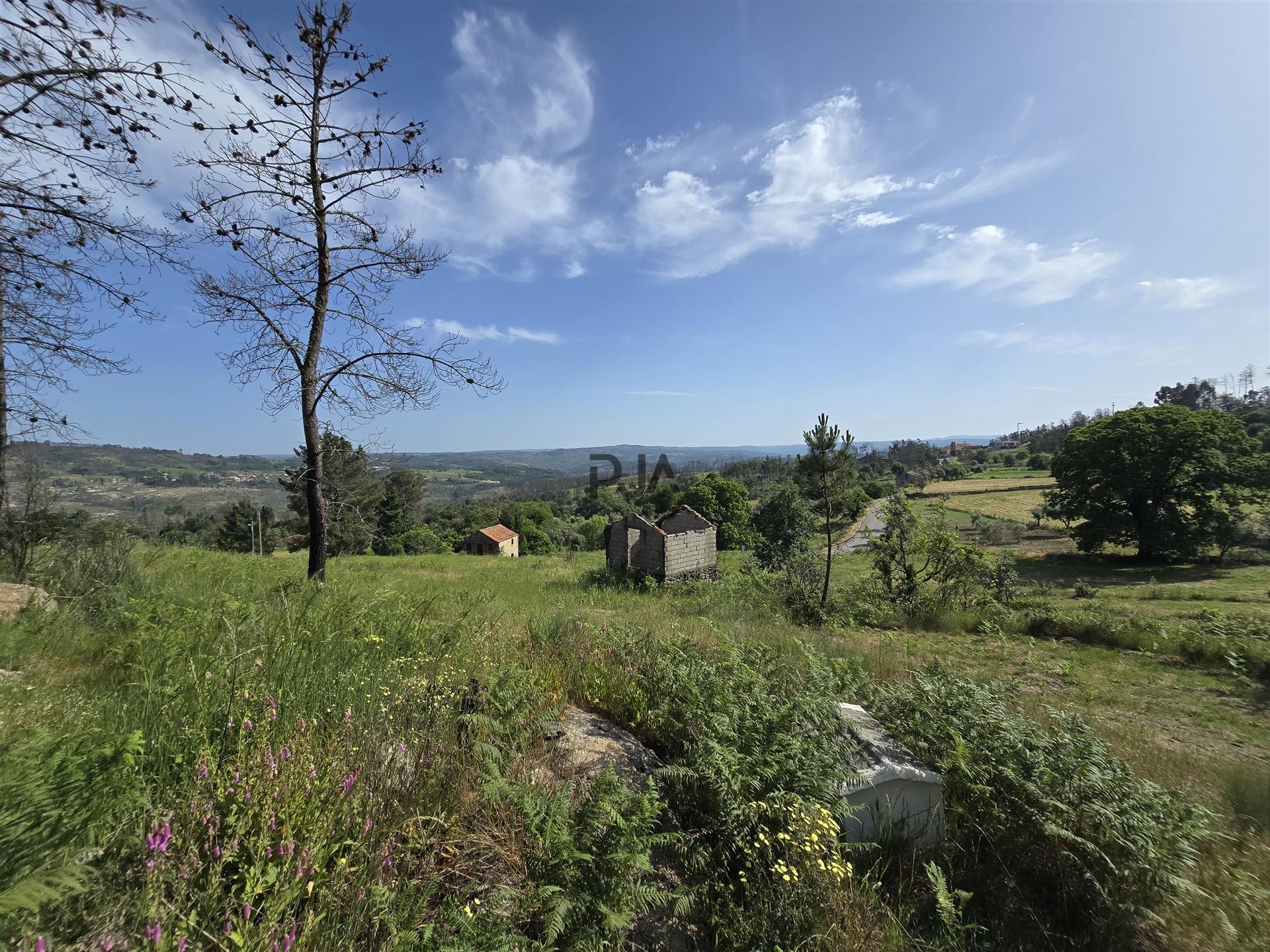 Terreno com 1Ha em  Aldeia Soito de Vide , Penalva do Castelo