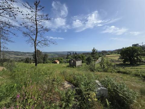 Terreno com 1Ha em  Aldeia Soito de Vide , Penalva do Castelo