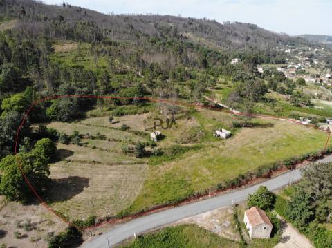 Terreno com 1Ha em  Aldeia Soito de Vide , Penalva do Castelo