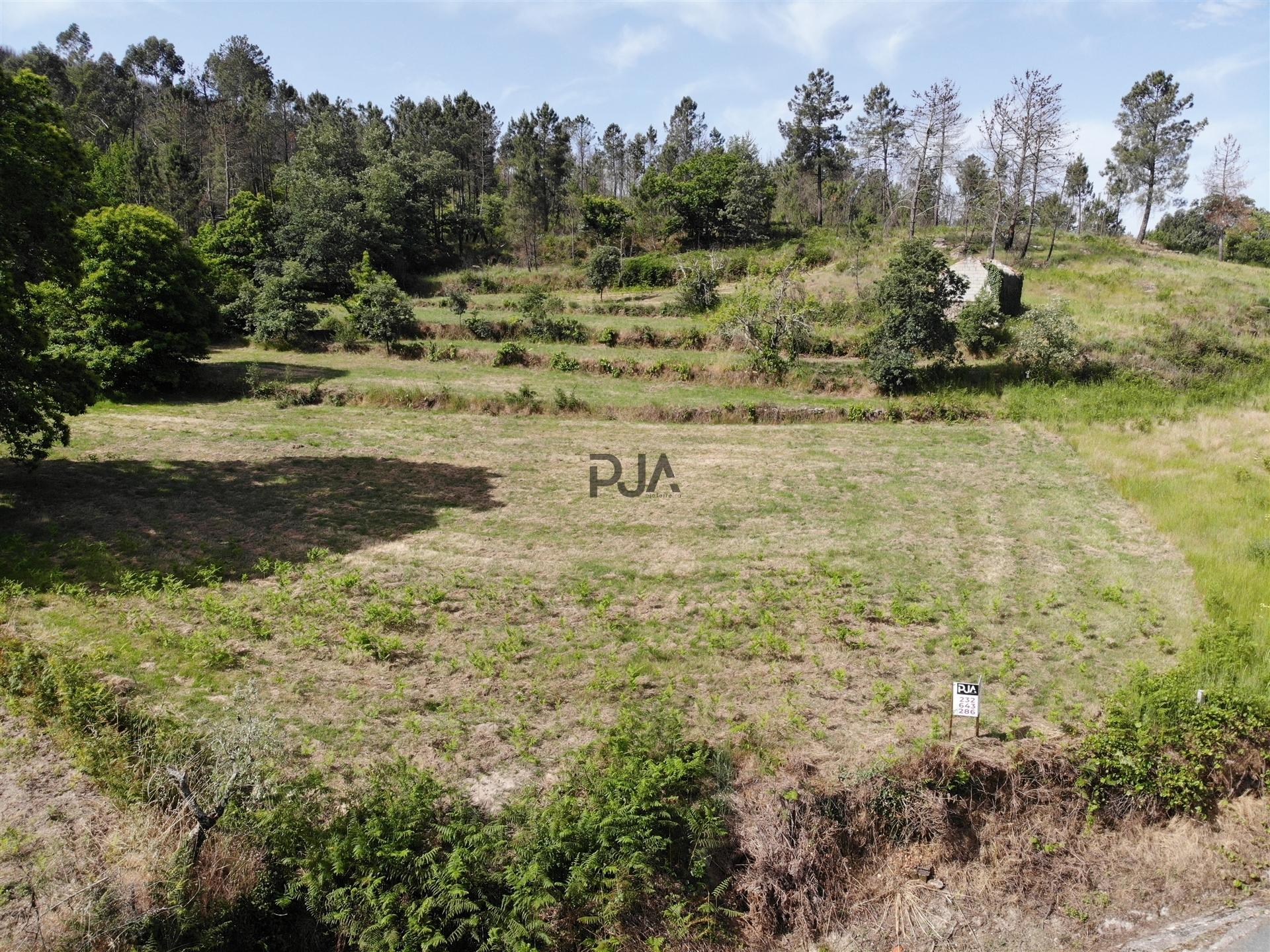 Terreno com 1Ha em  Aldeia Soito de Vide , Penalva do Castelo