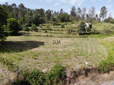 Terreno com 1Ha em  Aldeia Soito de Vide , Penalva do Castelo
