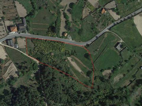 Terreno com 1Ha em  Aldeia Soito de Vide , Penalva do Castelo