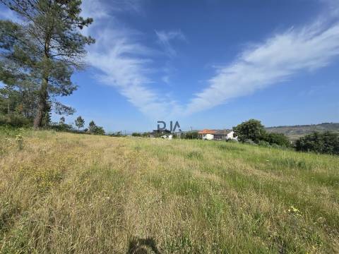 Terreno com 1Ha em  Aldeia Soito de Vide , Penalva do Castelo