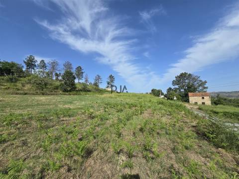Terreno com 1Ha em  Aldeia Soito de Vide , Penalva do Castelo