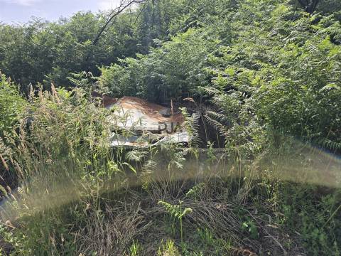 Terreno com 1Ha em  Aldeia Soito de Vide , Penalva do Castelo