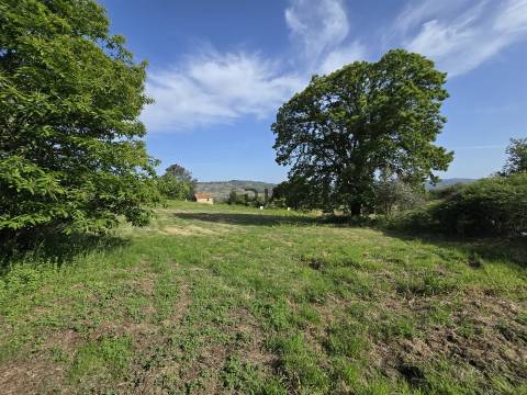 Terreno com 1Ha em  Aldeia Soito de Vide , Penalva do Castelo