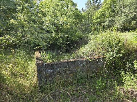 Terreno com 1Ha em  Aldeia Soito de Vide , Penalva do Castelo