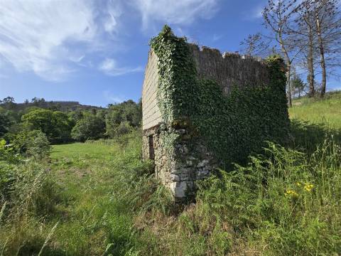 Terreno com 1Ha em  Aldeia Soito de Vide , Penalva do Castelo