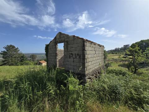 Terreno com 1Ha em  Aldeia Soito de Vide , Penalva do Castelo