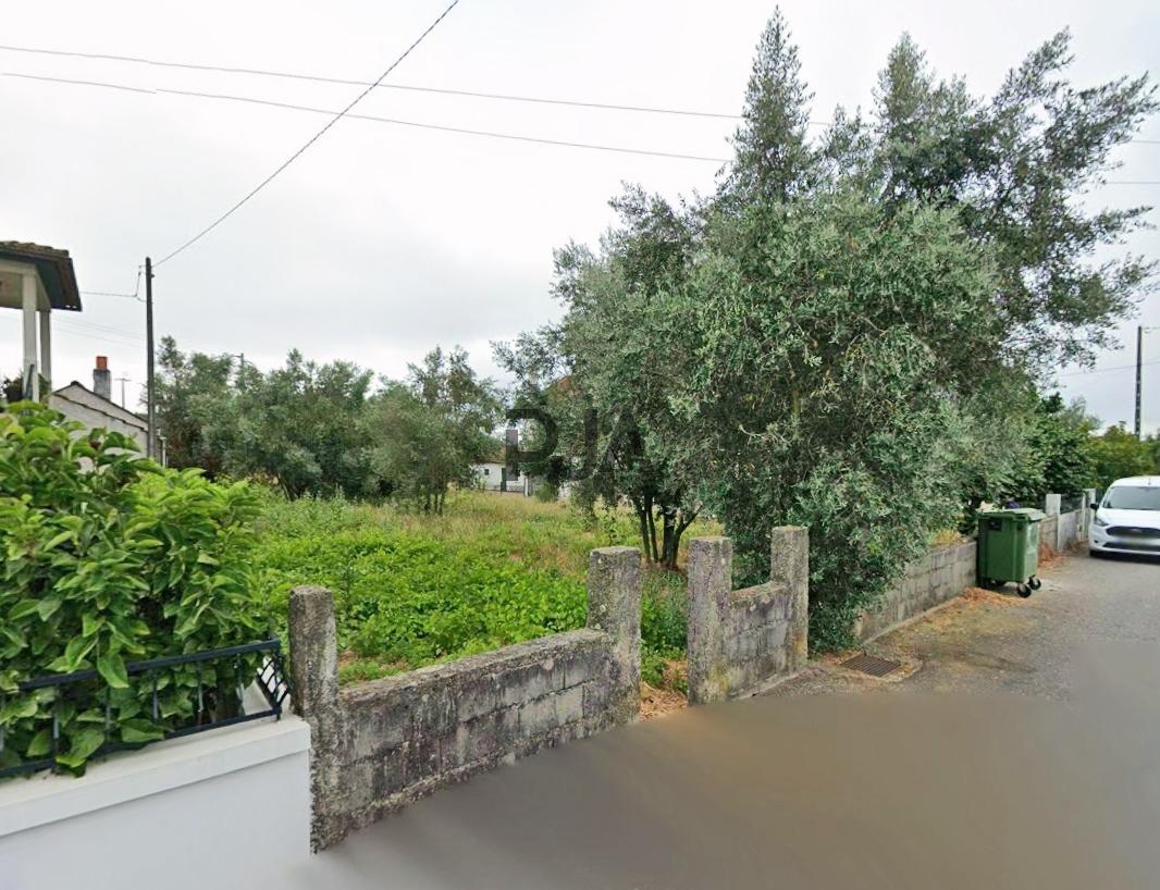 Terreno para arrendar em Tondela