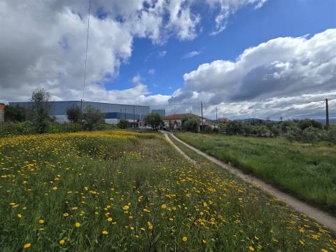 Terreno com viabilidade construtiva em Penalva do Castelo