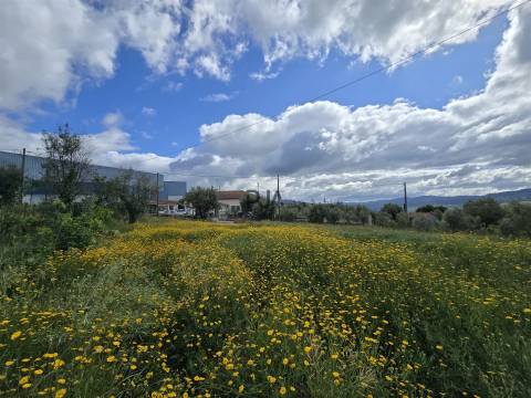 Terreno com viabilidade construtiva em Penalva do Castelo