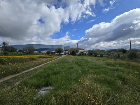 Terreno com viabilidade construtiva em Penalva do Castelo