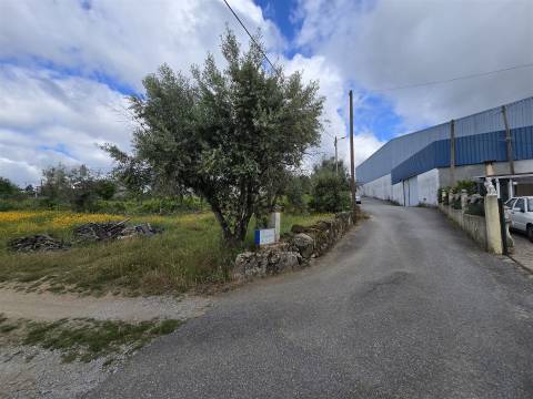 Terreno com viabilidade construtiva em Penalva do Castelo