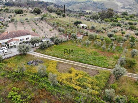 Terreno com viabilidade construtiva em Penalva do Castelo