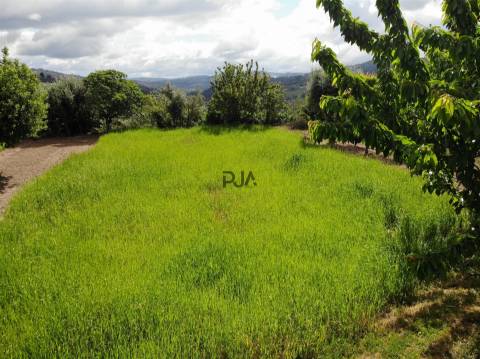 Terreno com viabilidade construtiva em Penalva do Castelo