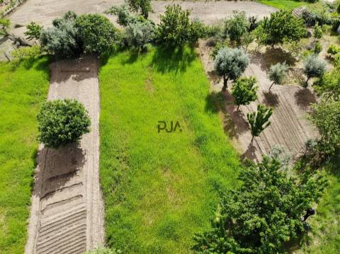 Terreno com viabilidade construtiva em Penalva do Castelo