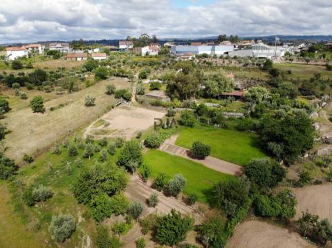 Terreno com viabilidade construtiva em Penalva do Castelo