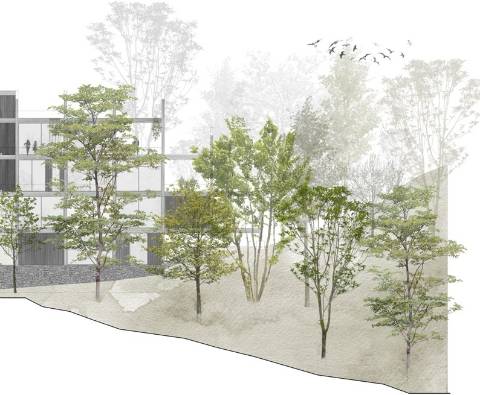 Terreno no Gerês para construção com acesso ao rio e praia fluvial