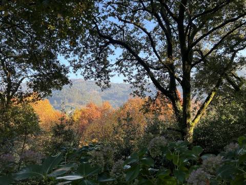 Terreno no Gerês para construção com acesso ao rio e praia fluvial
