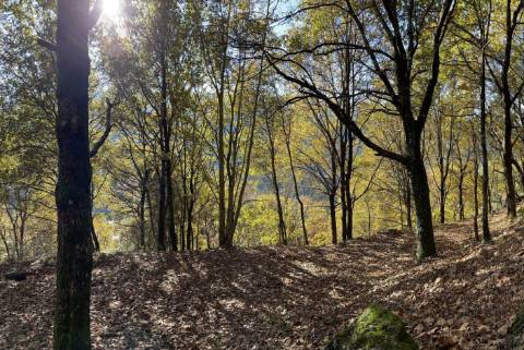 Terreno no Gerês para construção com acesso ao rio e praia fluvial