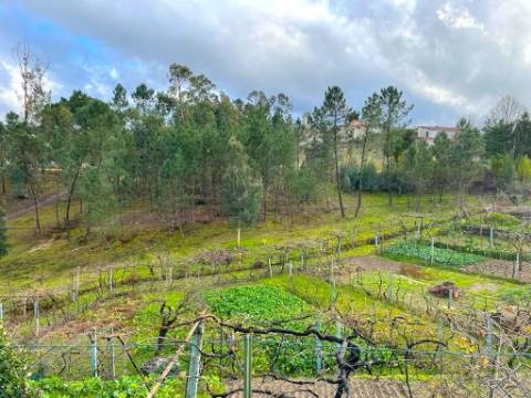 Quinta T6 em Amarante