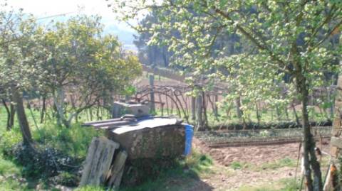 Terreno em Famalicão, Porto